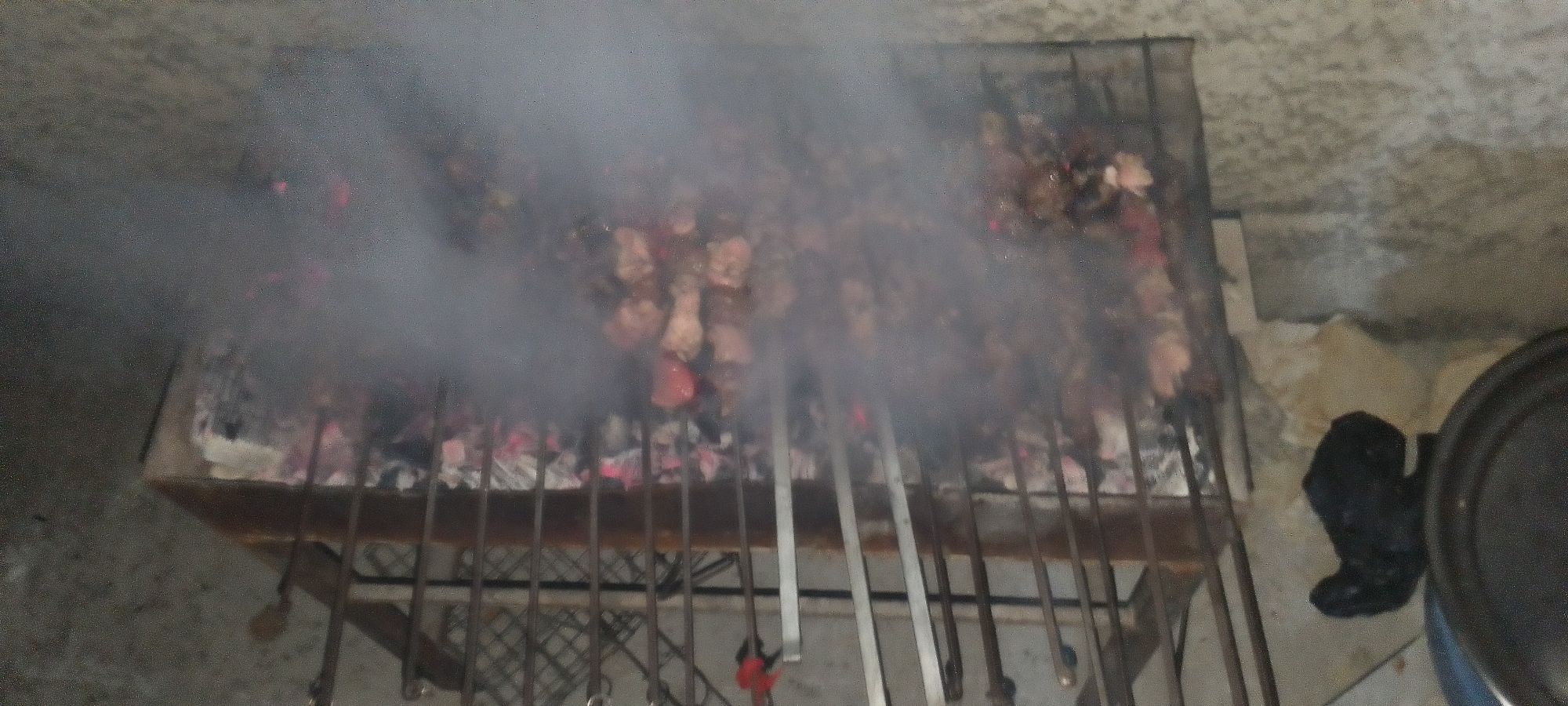 عصافير نية ومشوية